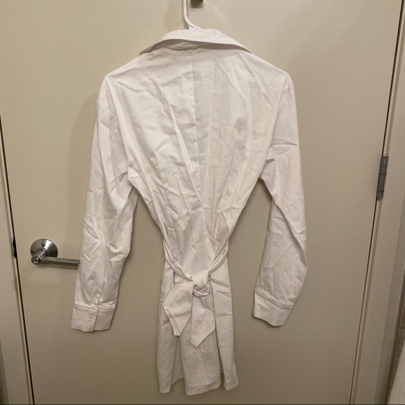 Zara Stretch Poplin Dress - Picture 5 of 5